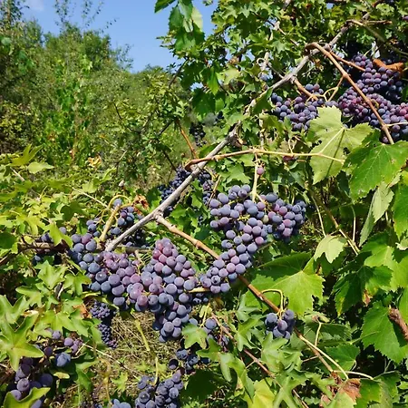 Casale Amerina Сasa de vacaciones *